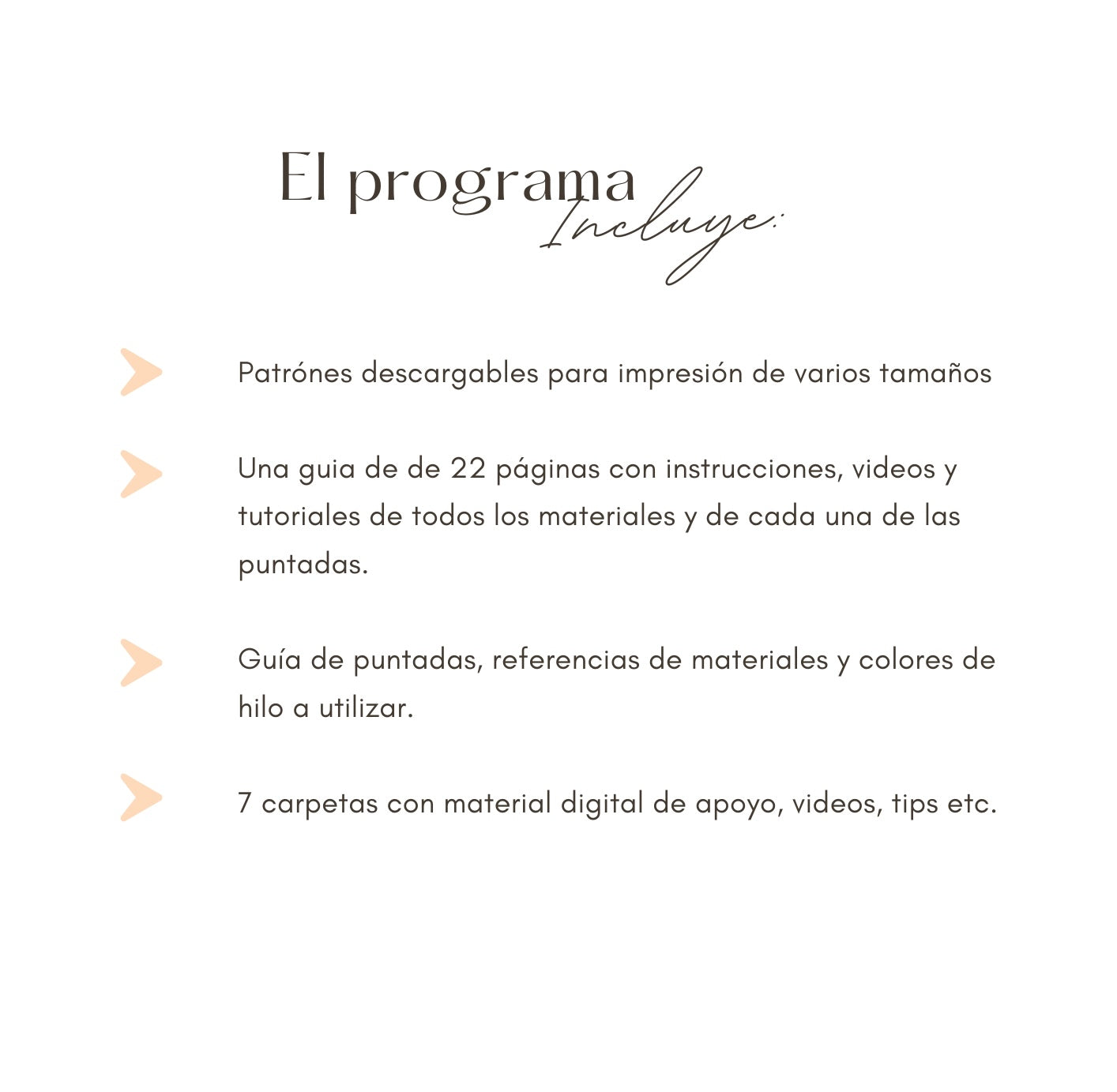 Guía de Bordado Digital - Pedrería