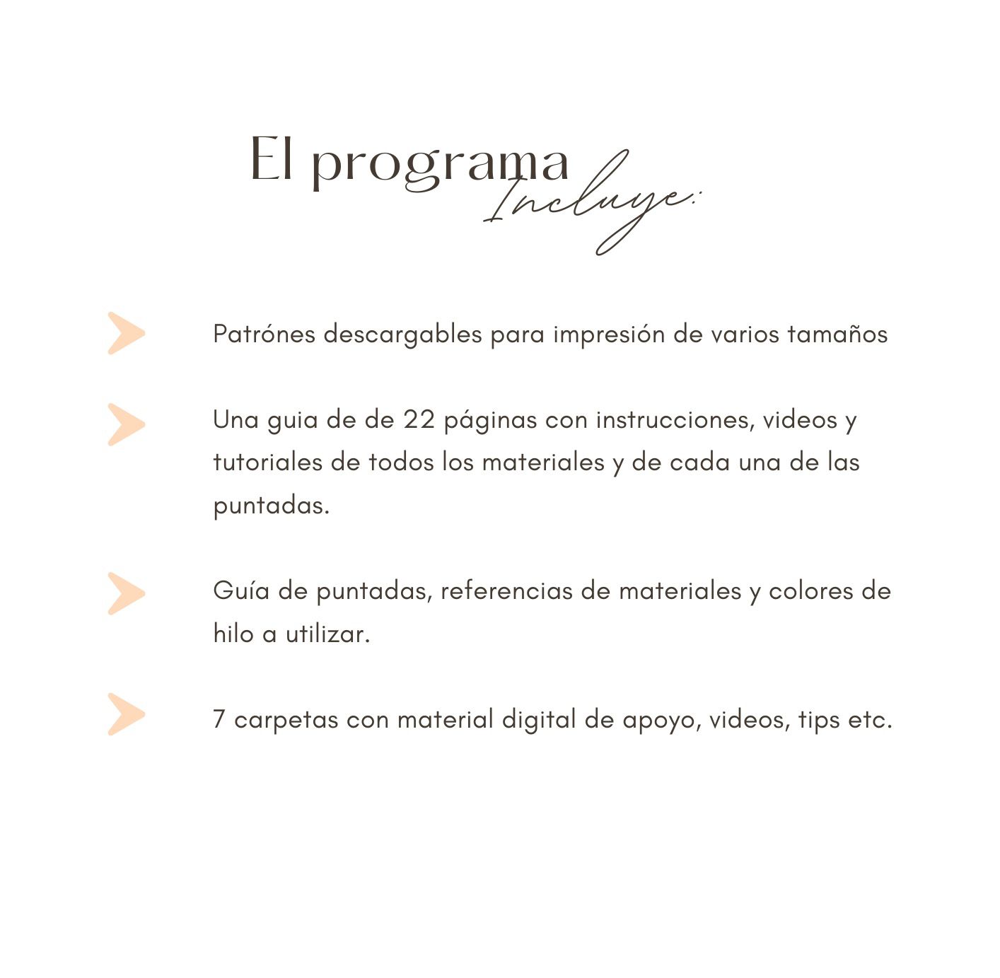 Guía de Bordado Digital - Mini Bordado
