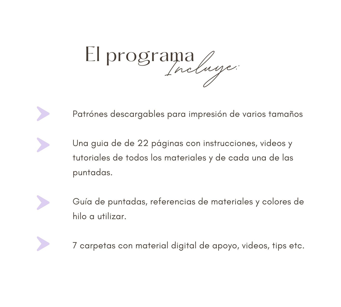 Guía de Bordado Digital - Ramo de Flores