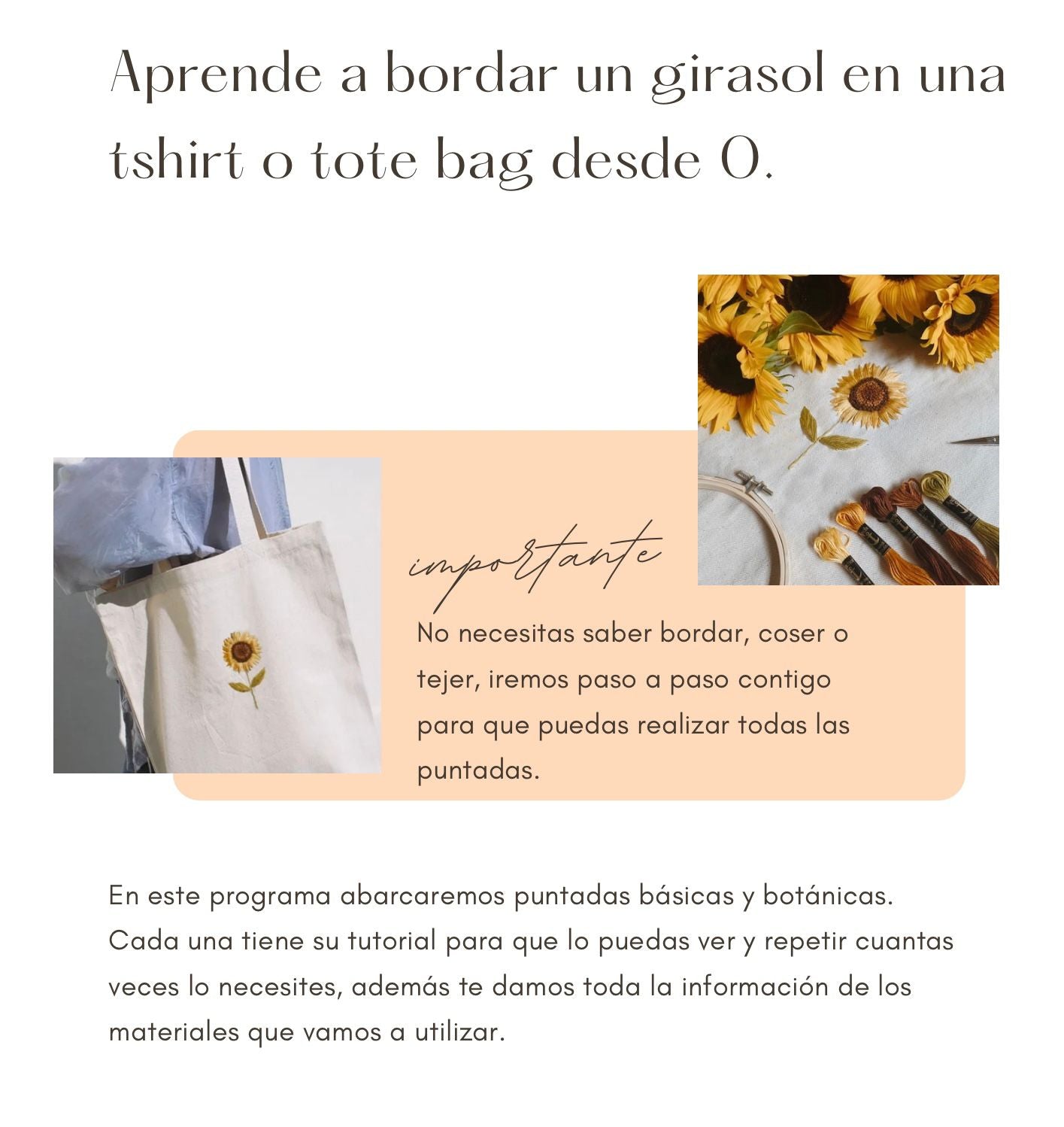 Guía de Bordado Digital - Girasol