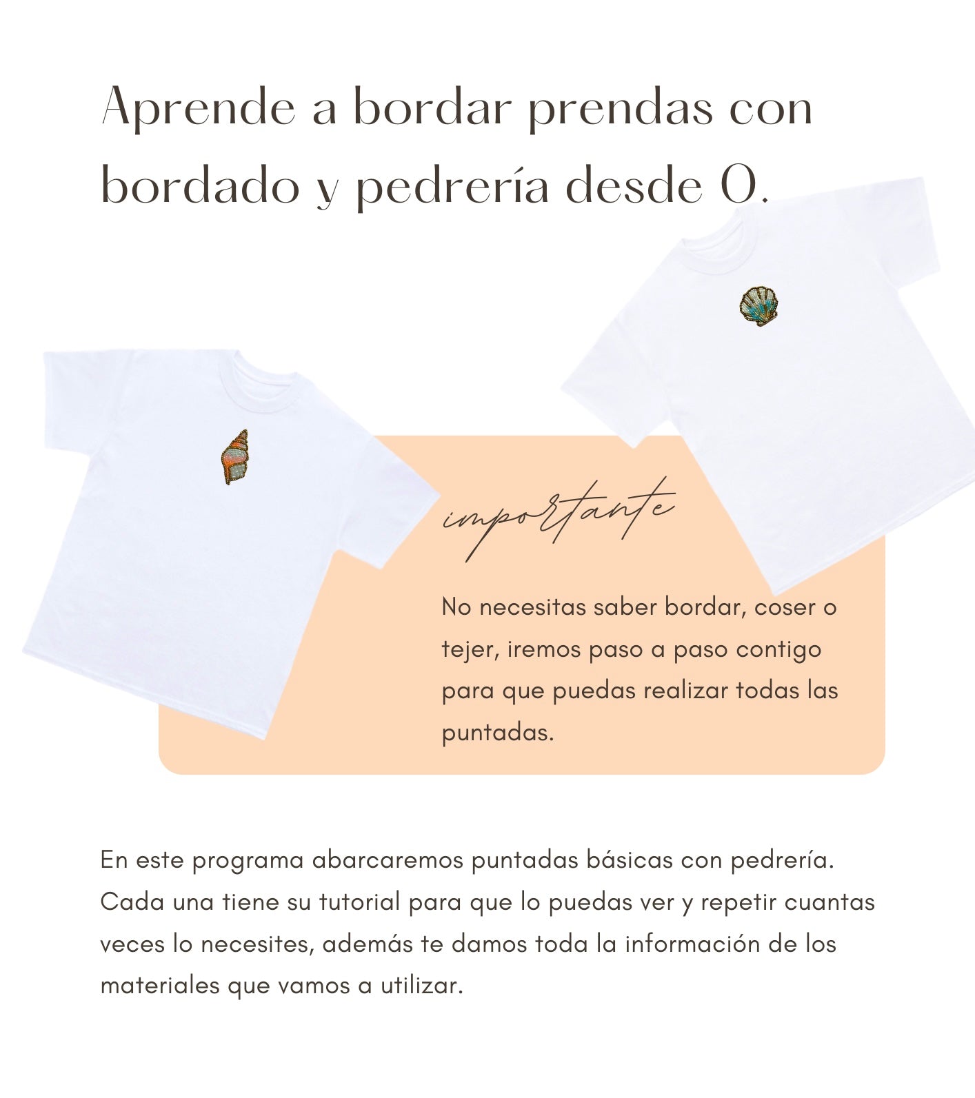 Guía de Bordado Digital - Pedrería
