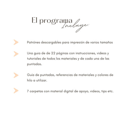 Guía de Bordado Digital - Pedrería