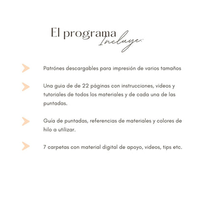 Guía de Bordado Digital - Mini Bordado